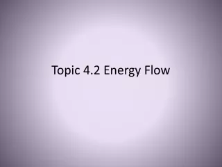 Topic 4.2 Energy Flow