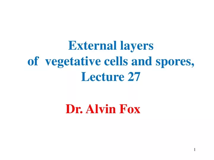 external layers of vegetative cells and spores