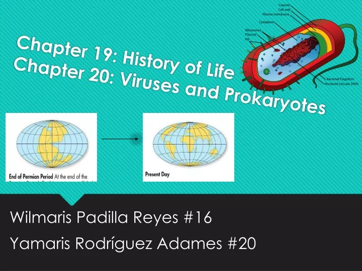chapter 19 history of life chapter 20 viruses and prokaryotes
