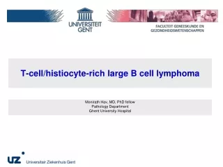 T-cell/histiocyte-rich large B cell lymphoma