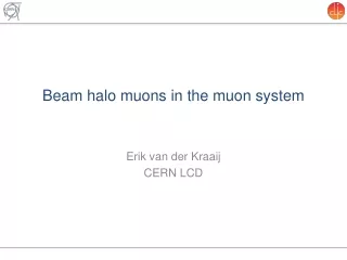 Beam halo muons in the muon system