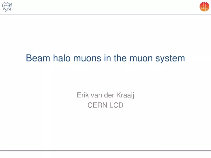 beam halo muons in the muon system