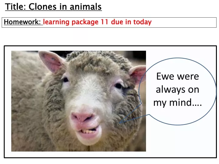 title clones in animals