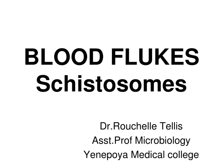 blood flukes schistosomes