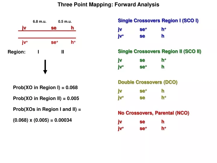 three point mapping forward analysis