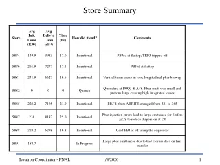 Store Summary