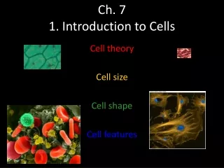 Ch. 7  1. Introduction to Cells