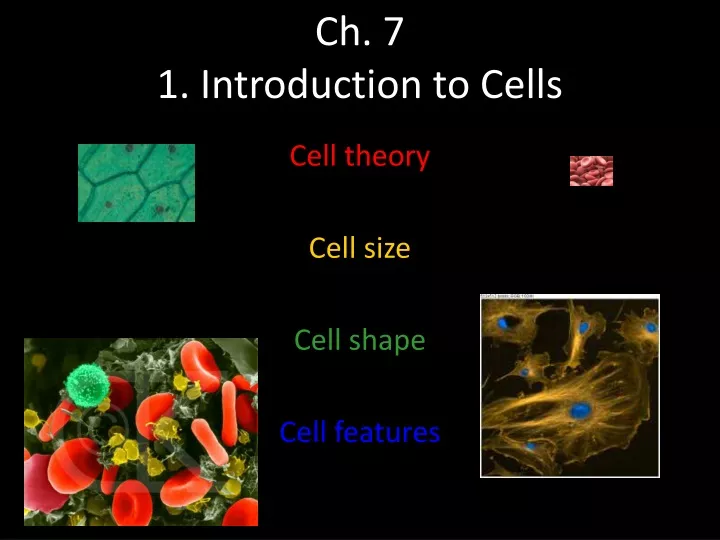 ch 7 1 introduction to cells