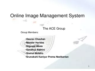 Online Image Management System