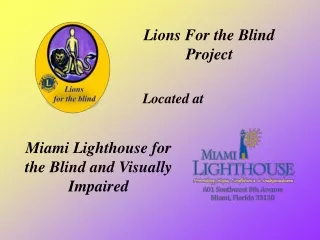 Lions For the Blind  Project