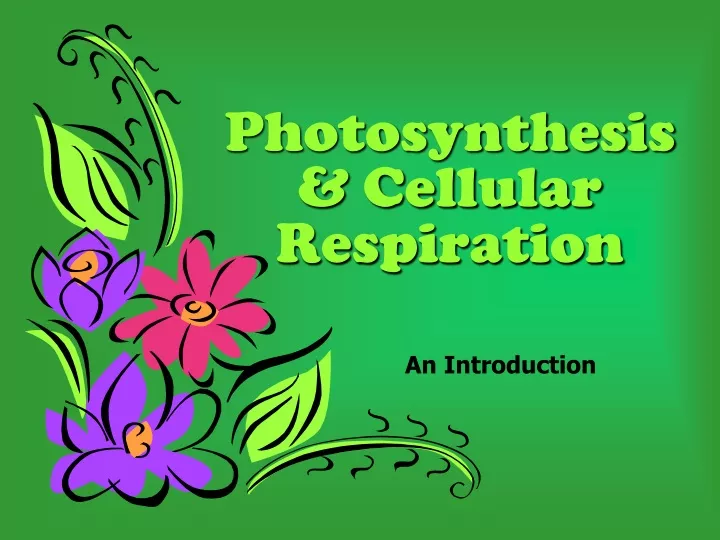 photosynthesis cellular respiration an introduction