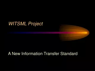 WITSML  Project