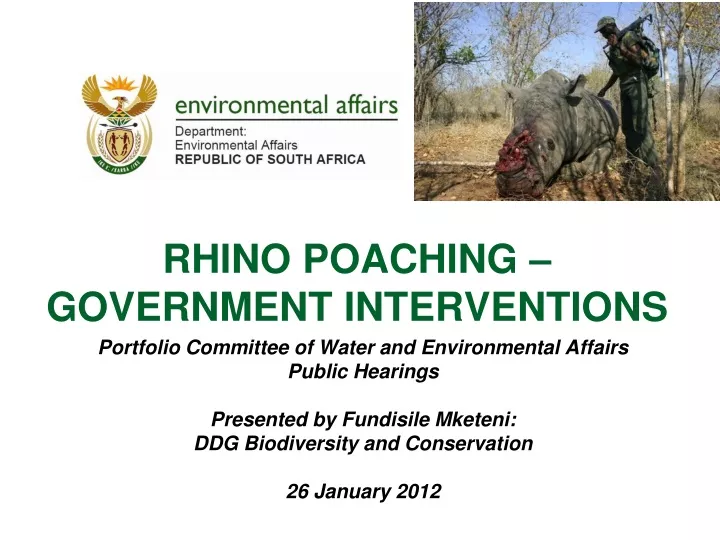 rhino poaching government interventions