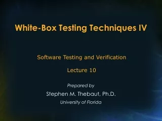 White-Box Testing Techniques IV