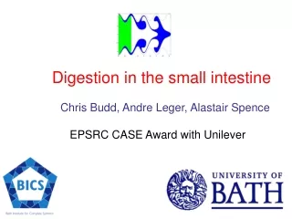 Digestion in the small intestine                Chris Budd, Andre Leger, Alastair Spence