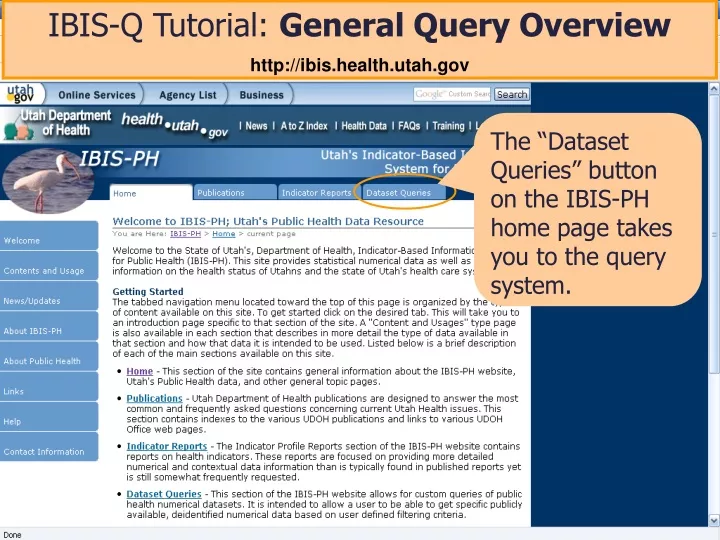 ibis q tutorial general query overview http ibis