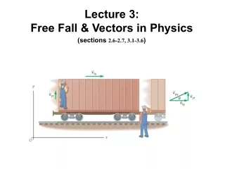 Lecture 3: Free Fall &amp; Vectors in Physics