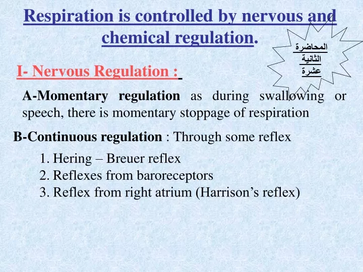 respiration is controlled by nervous and chemical
