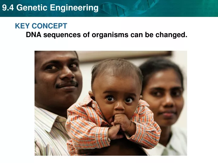key concept dna sequences of organisms