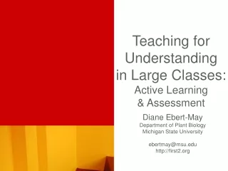 Teaching for Understanding  in Large Classes: Active Learning &amp; Assessment