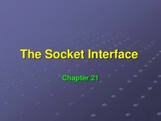 The Socket Interface
