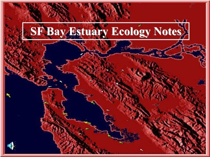 sf bay estuary ecology notes