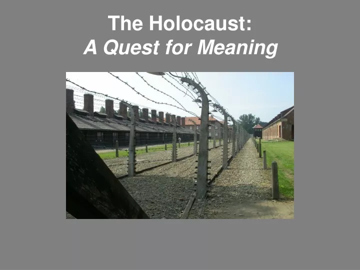 the holocaust a quest for meaning