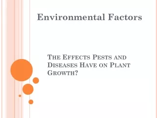 The Effects  Pests  and Diseases Have on Plant Growth?