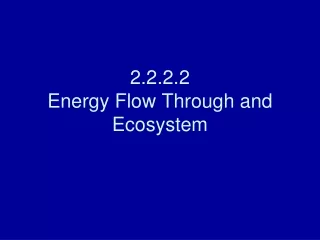 2.2.2.2 Energy Flow Through and Ecosystem