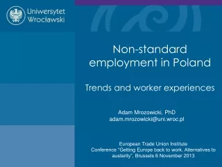 Non-standard employment in Poland  Trends and worker experiences