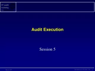 Audit Execution