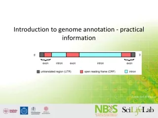Introduction to genome annotation - practical information