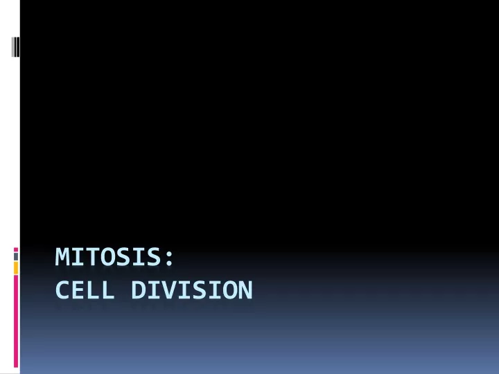mitosis cell division