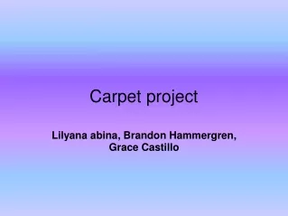 Carpet project