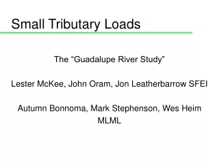 Small Tributary Loads