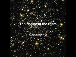 The Nature of the Stars