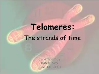 Telomeres: