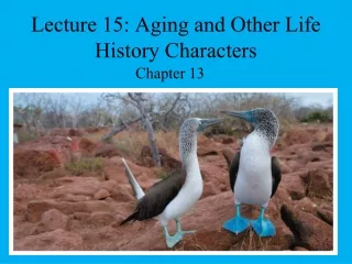 Lecture 15: Aging and Other Life History Characters