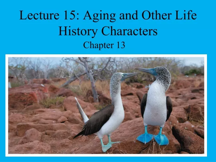 lecture 15 aging and other life history characters