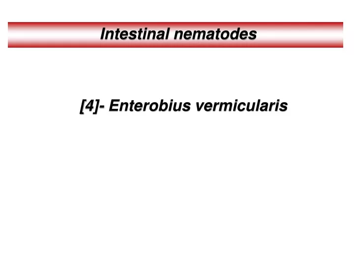 intestinal nematodes