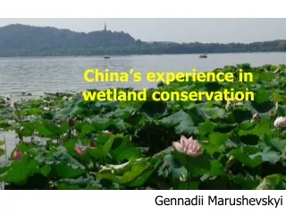 China’s experience in wetland conservation
