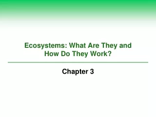 Ecosystems: What Are They and  How Do They Work?