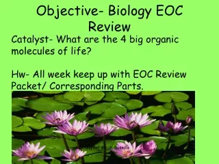 Objective- Biology EOC Review