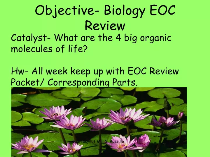 objective biology eoc review