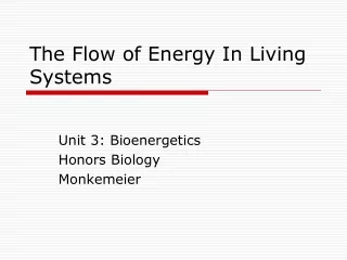 The Flow of Energy In Living Systems