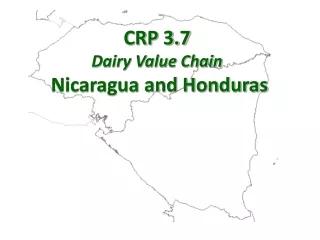 CRP 3.7 Dairy Value Chain  Nicaragua and Honduras