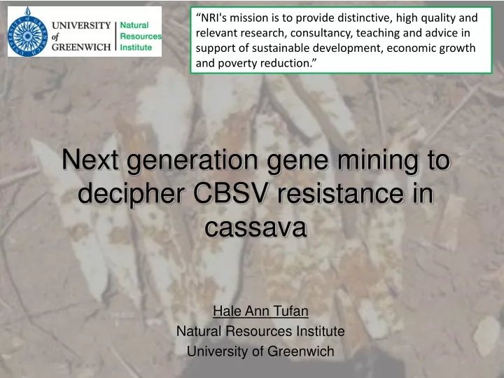 next generation gene mining to decipher cbsv resistance in cassava