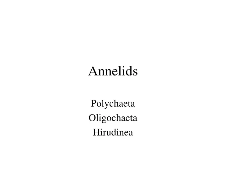 annelids