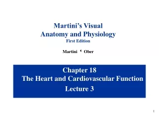 Chapter 18 The Heart and Cardiovascular Function Lecture 3