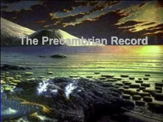 The Precambrian Record